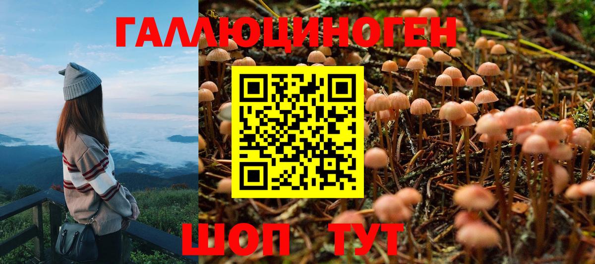 Галлюциногенные грибы мухоморы  Вход с VPN  Галлюциногенные грибы GOLDEN TEACHER  Владимир 
