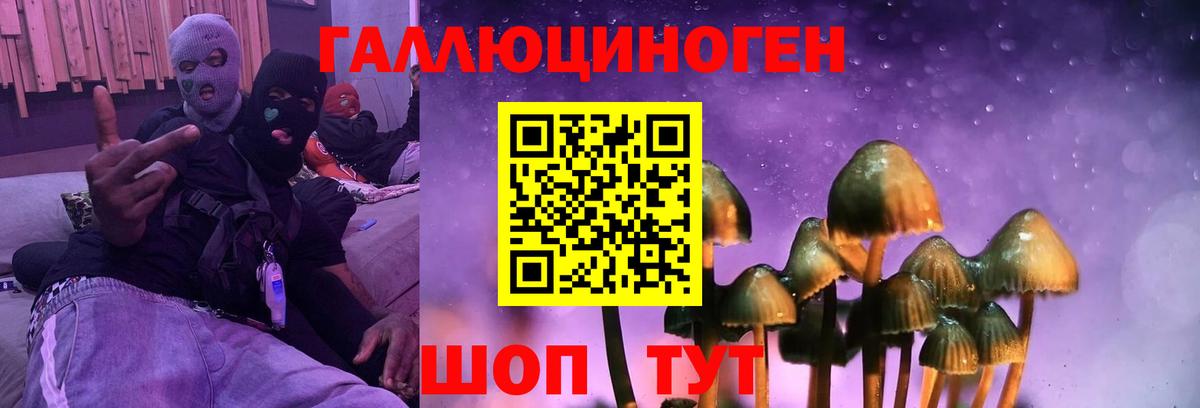 Галлюциногенные грибы GOLDEN TEACHER  Владимир 