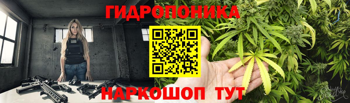 НБОМе Владимир